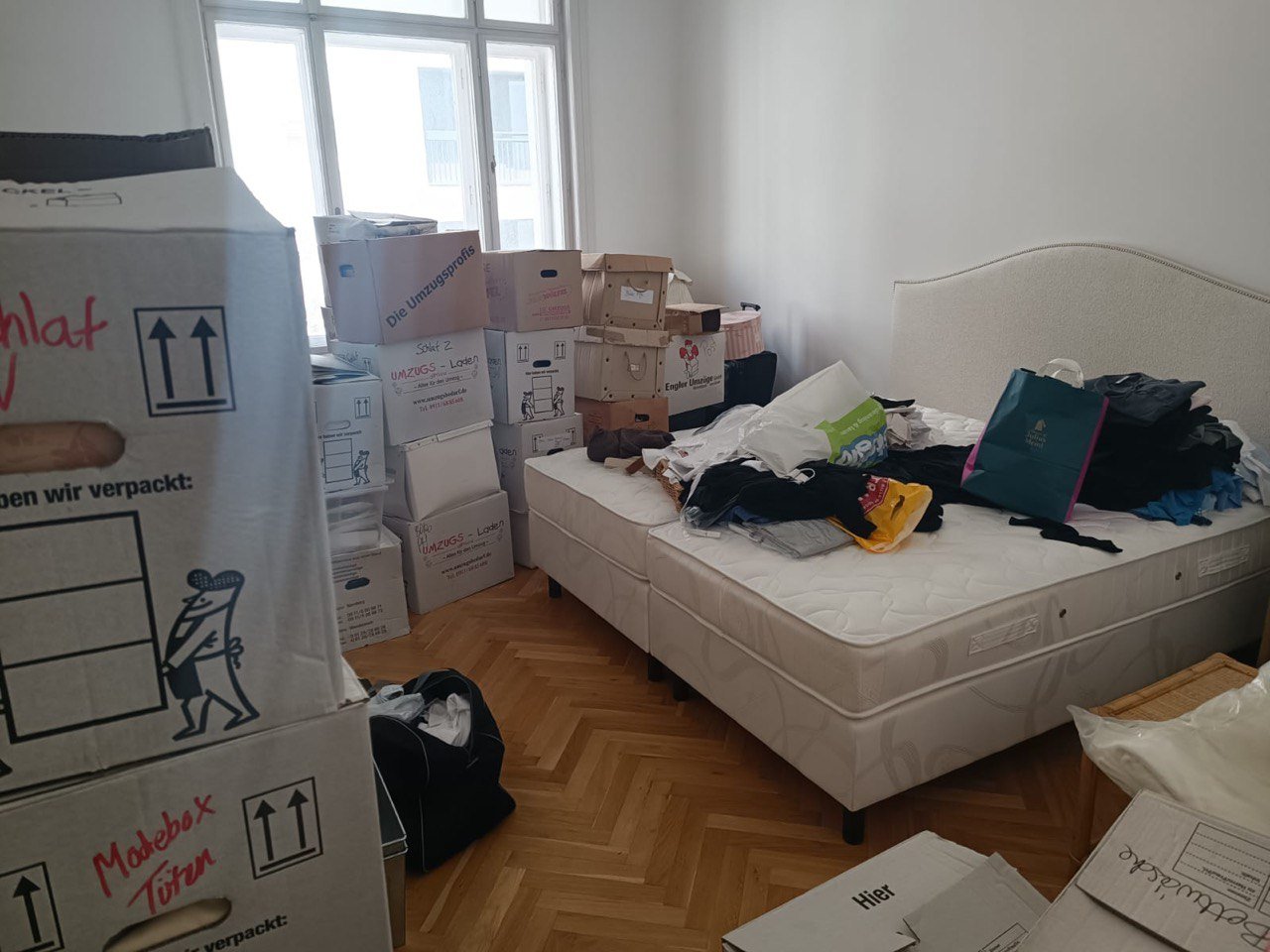 Messie Entrümpelung 1080 Wien Josefstadt