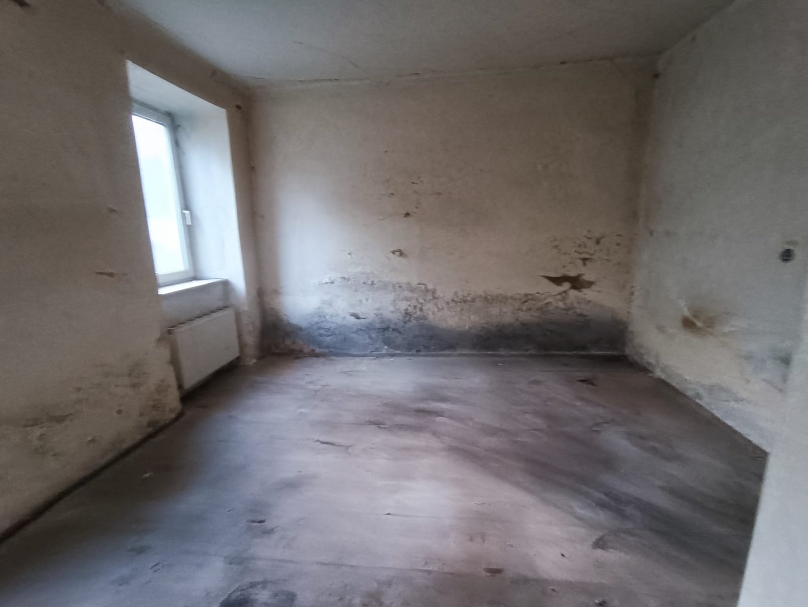 Wien: Nachher-Foto – strukturierter Bereich nach professioneller Hilfe