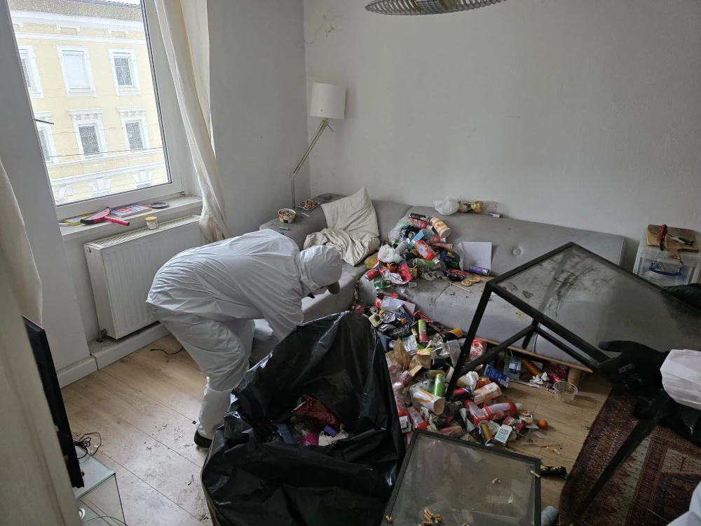 Entrümpelung 1190 Wien – Erstklassige Räumung