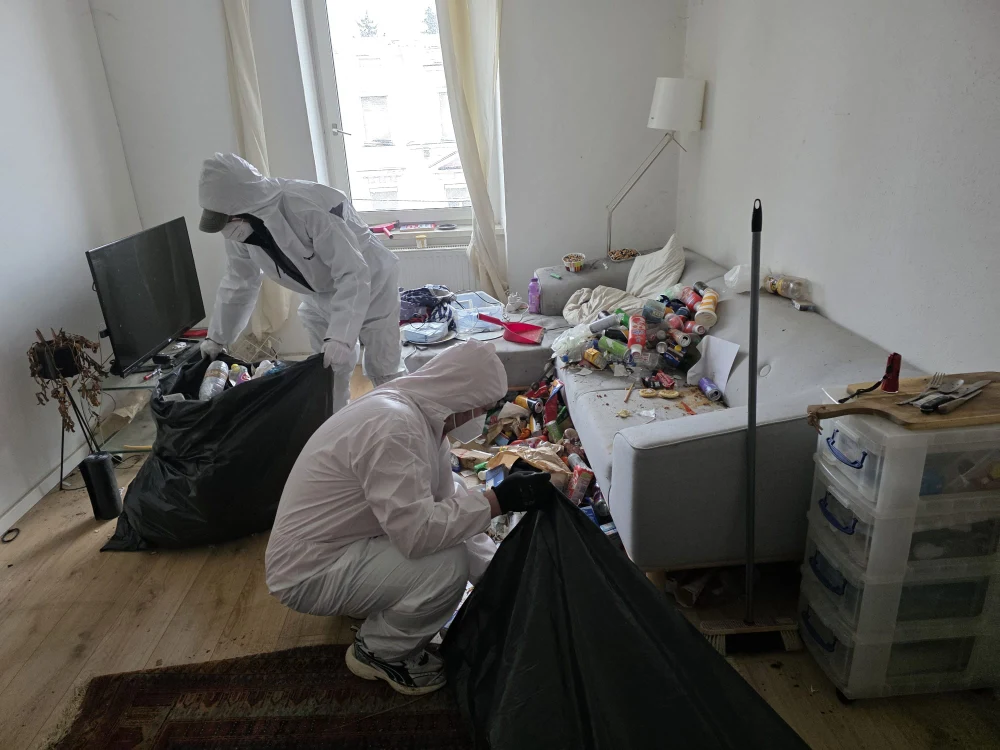 Vollgestellte Wohnung Vorher 1190 Wien
