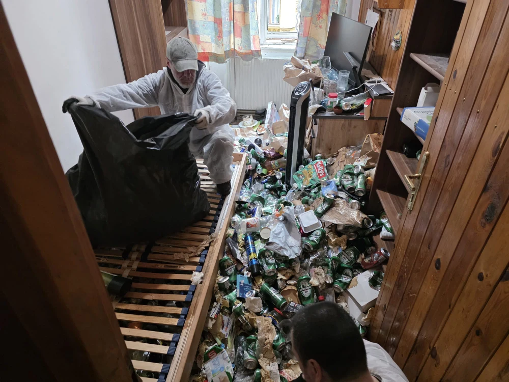 Entrümpelung Pitten, 2823 – professionelle Räumung